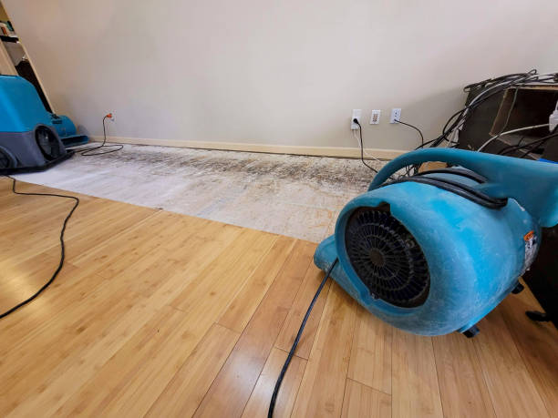 Professional Ceiling Water Damage Repair technician working in Deweyville, UT